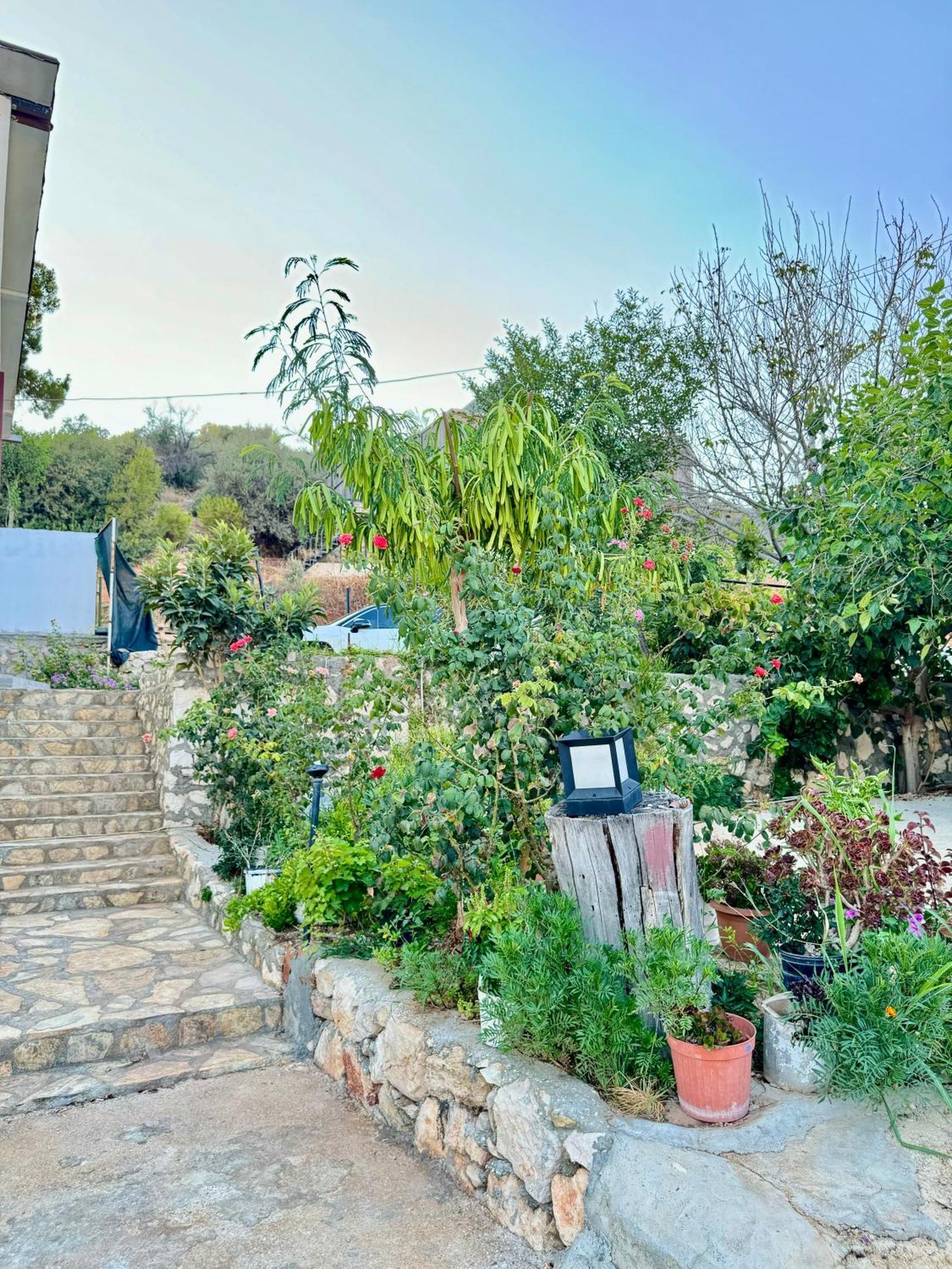 Rose Hotel B&B Patara Exterior foto