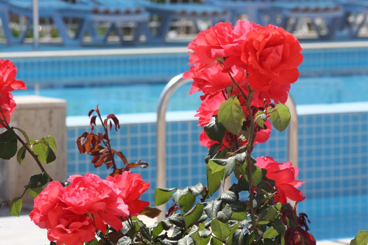 Rose Hotel B&B Patara Exterior foto